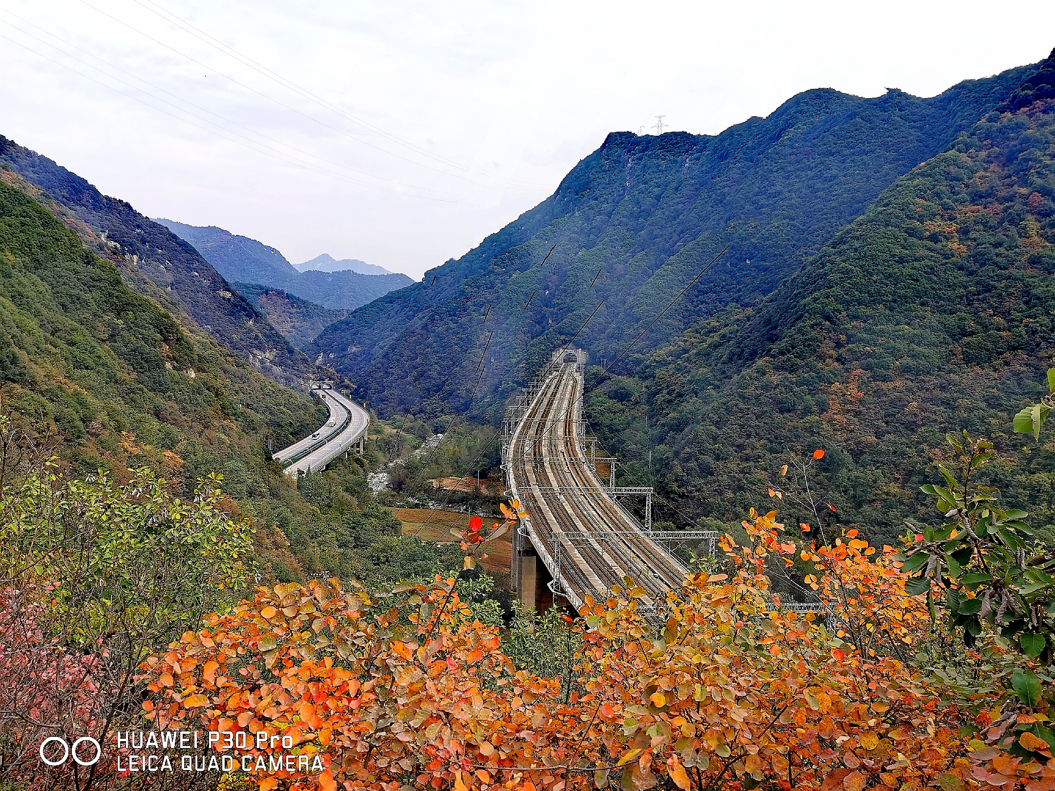 秦嶺紅葉【首發原創】