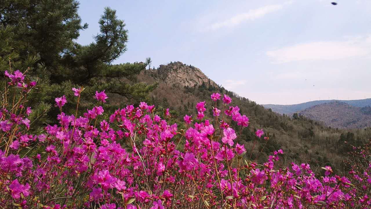 美丽桃山一一桃山摄影作品选(一)