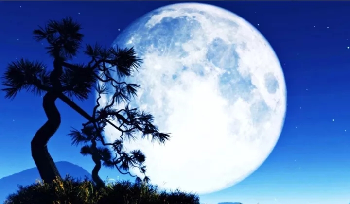 中秋:千里明月寄相思