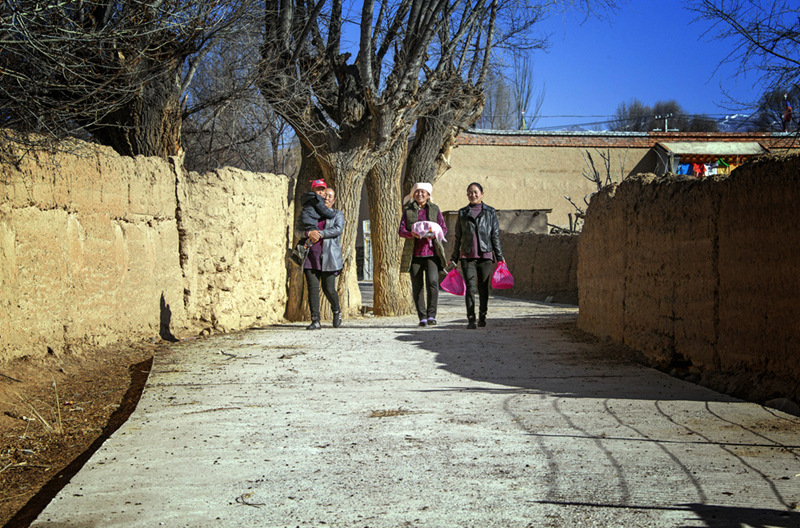 每年的开耕仪式是青海省贵德县拉西瓦镇罗汉堂,昨那,曲乃亥等村的