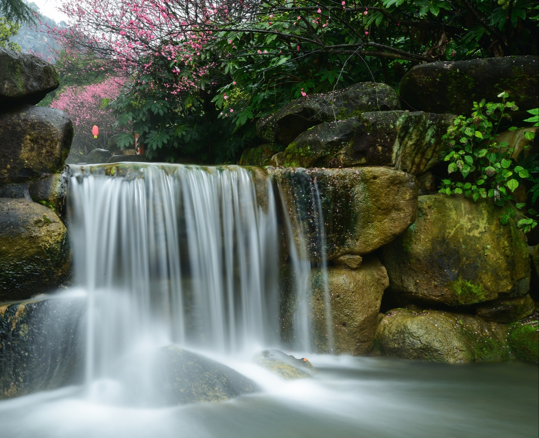 我惦记着地下长河的那几株梅花,所以就冒雨前往了.