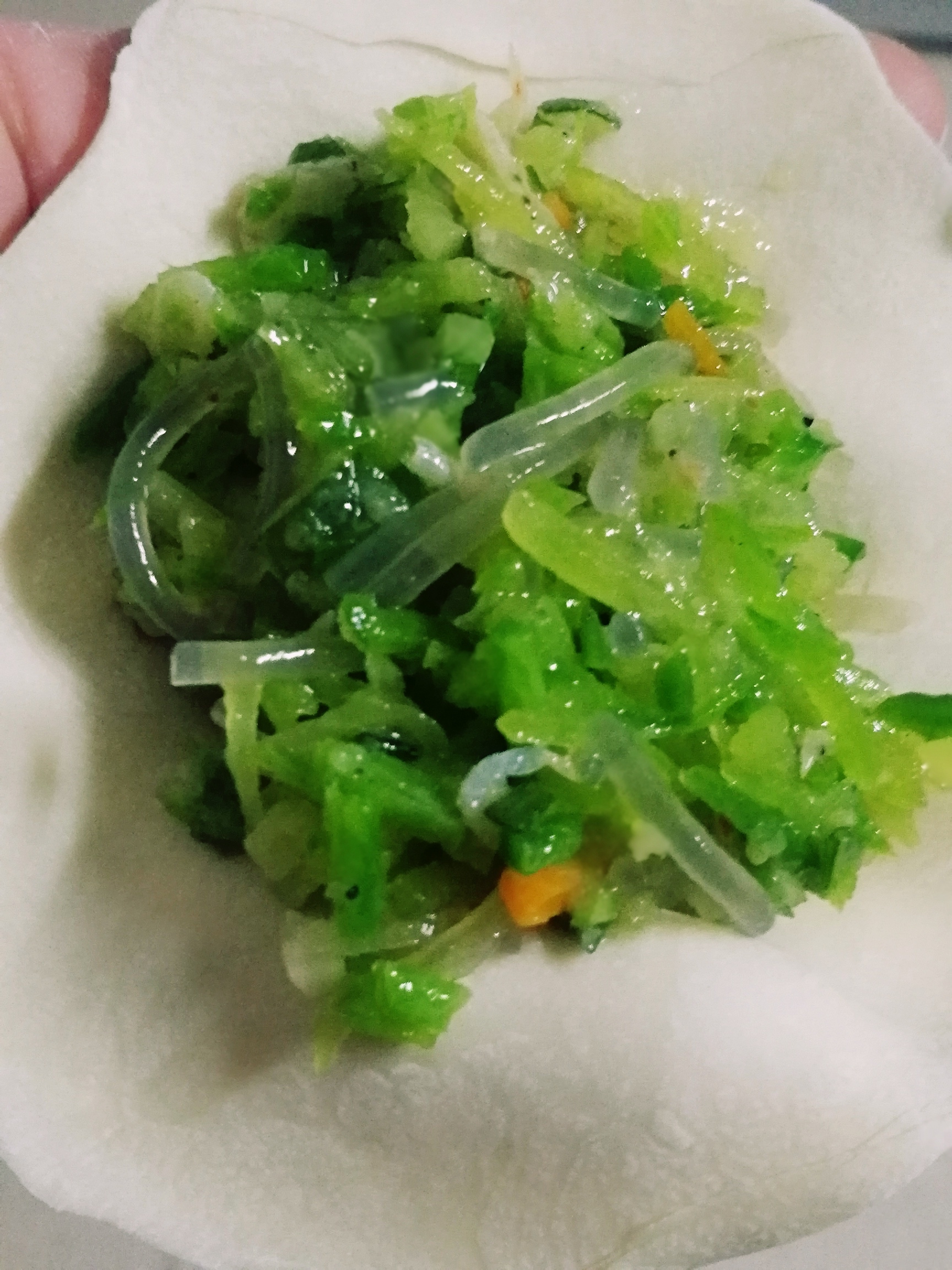 青萝卜水饺图片