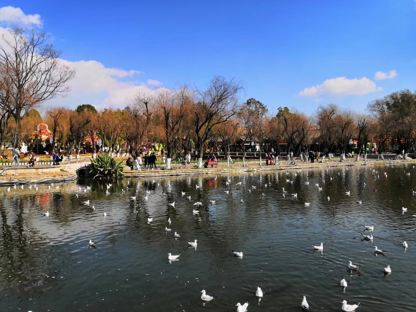 昆明大观楼美景