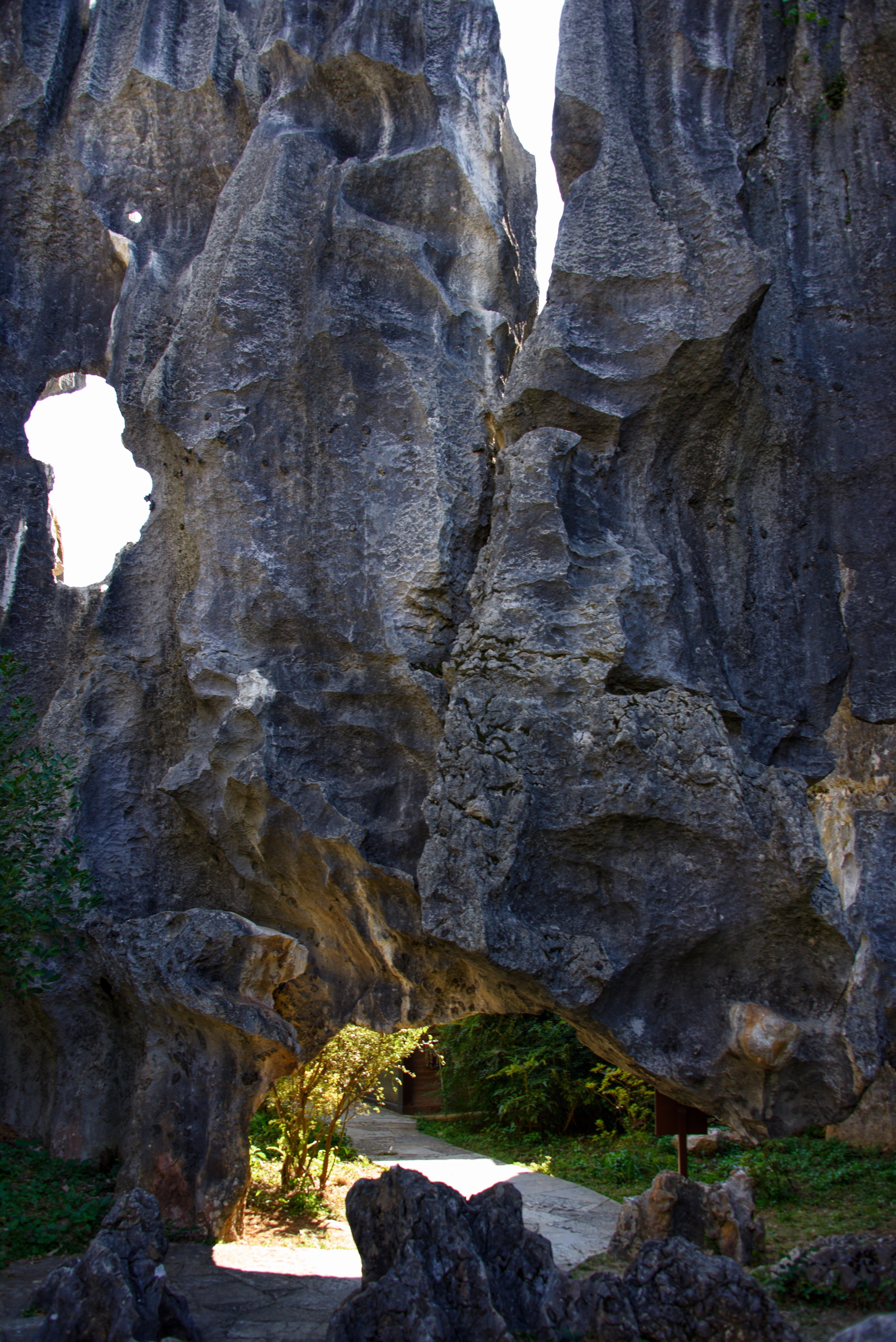 幽兰深谷(首发)