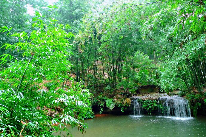 蜀南竹海之忘忧谷