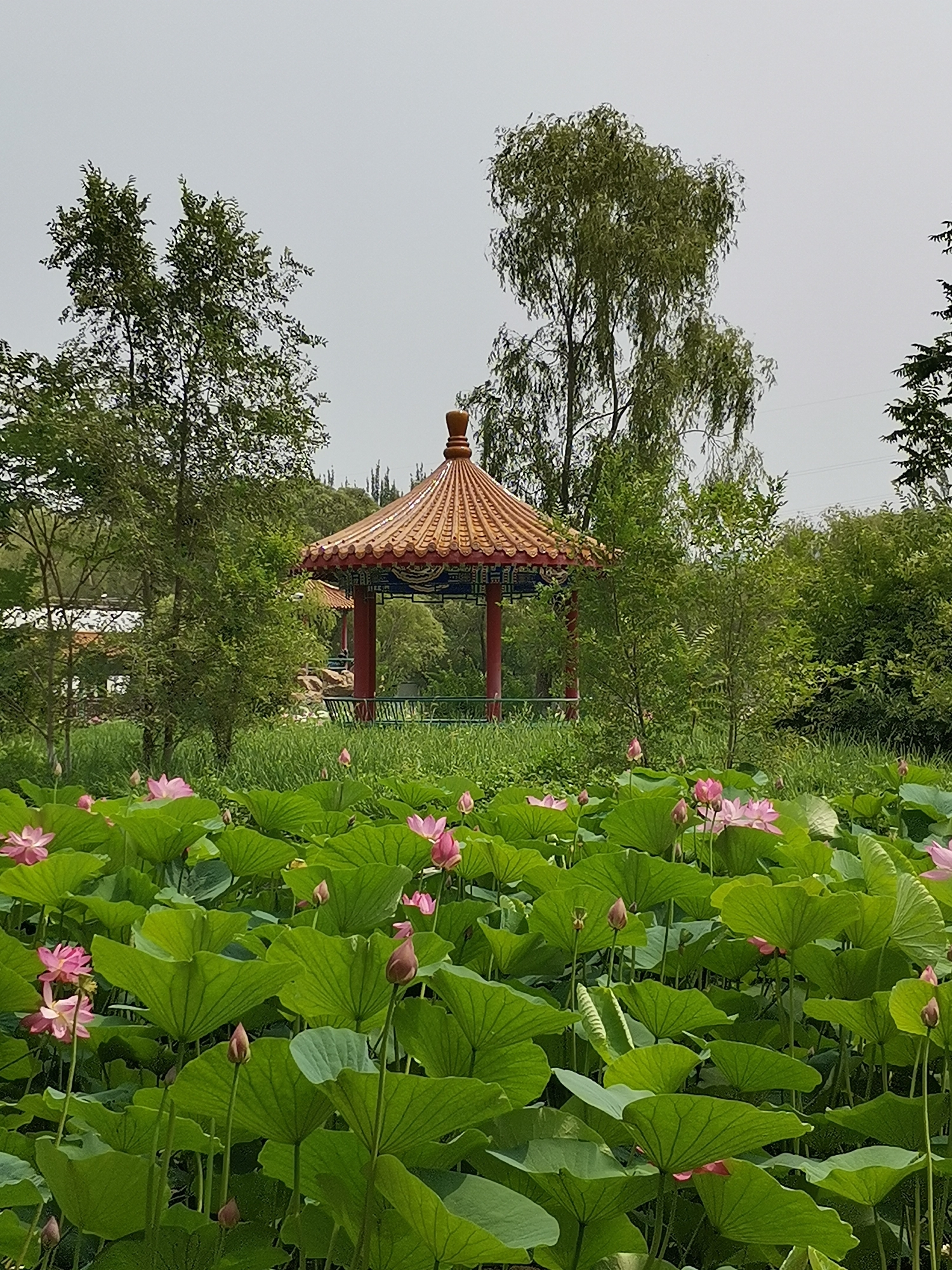 盤錦湖濱公園