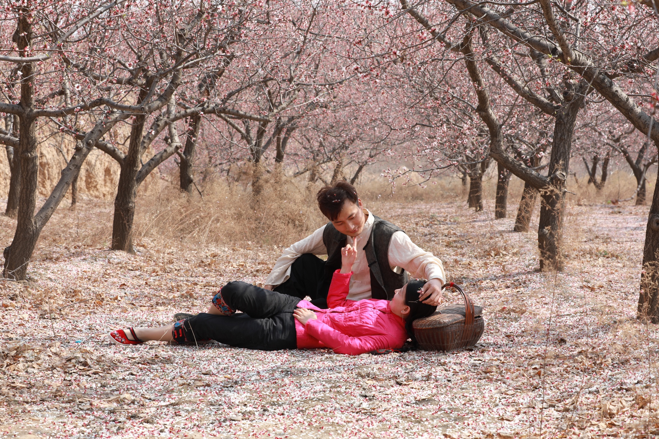 小芳(二)杏花树下