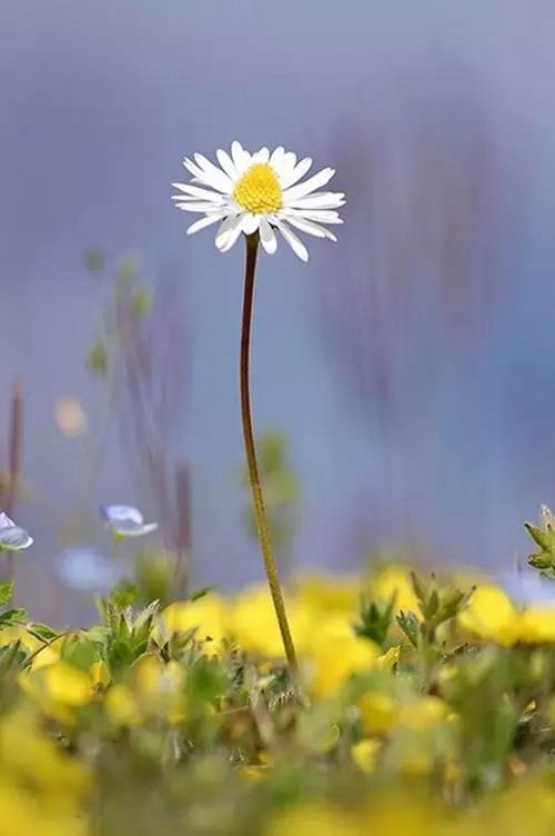 快乐是一切,健康是根本