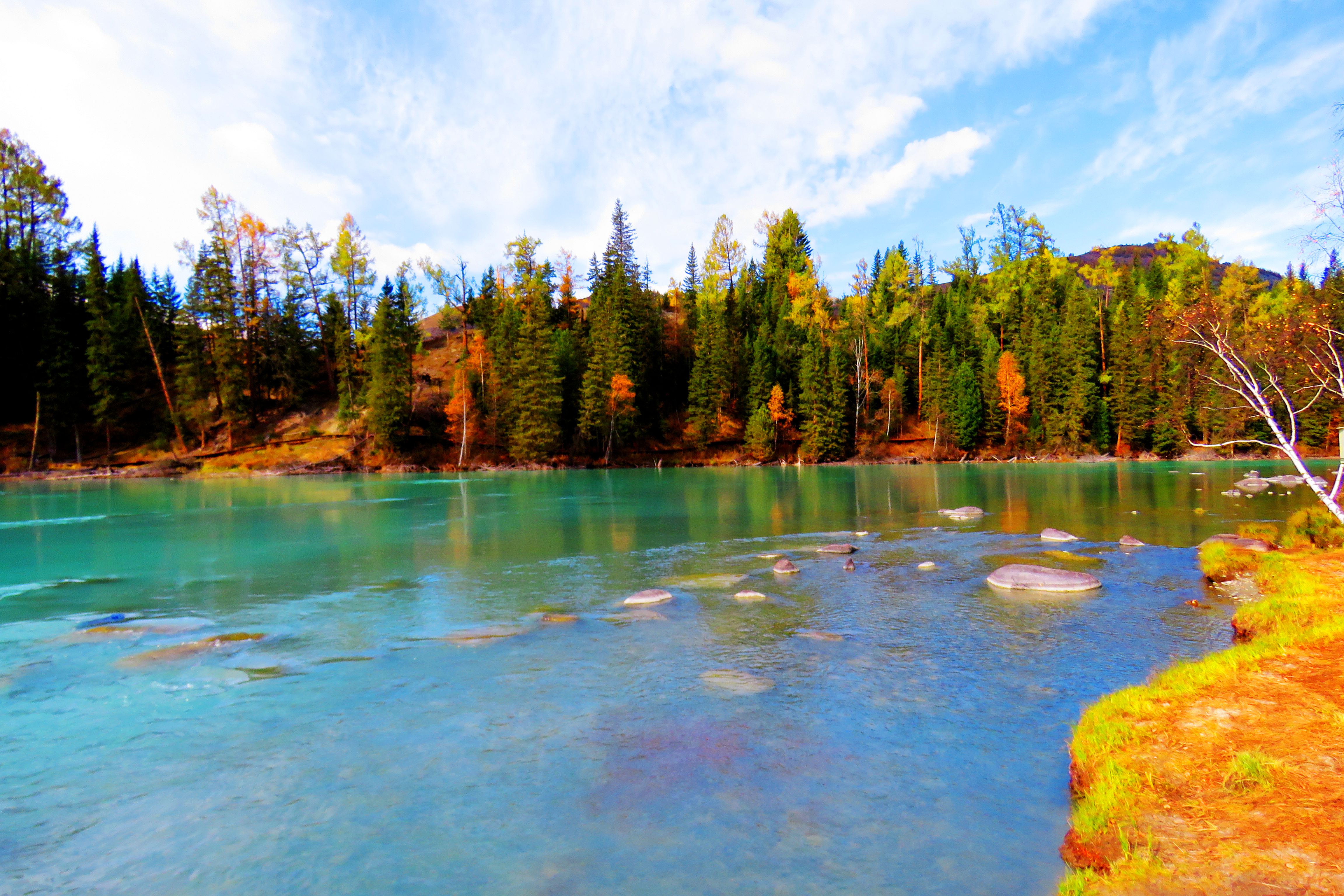 如诗如画喀纳斯——大美新疆行之四