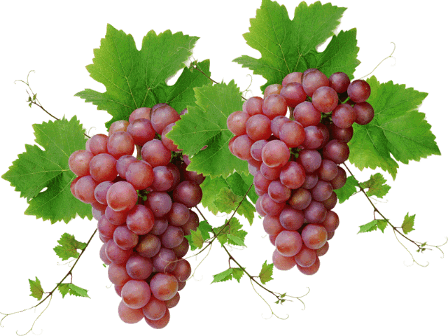 640_480gif 动态图 动图