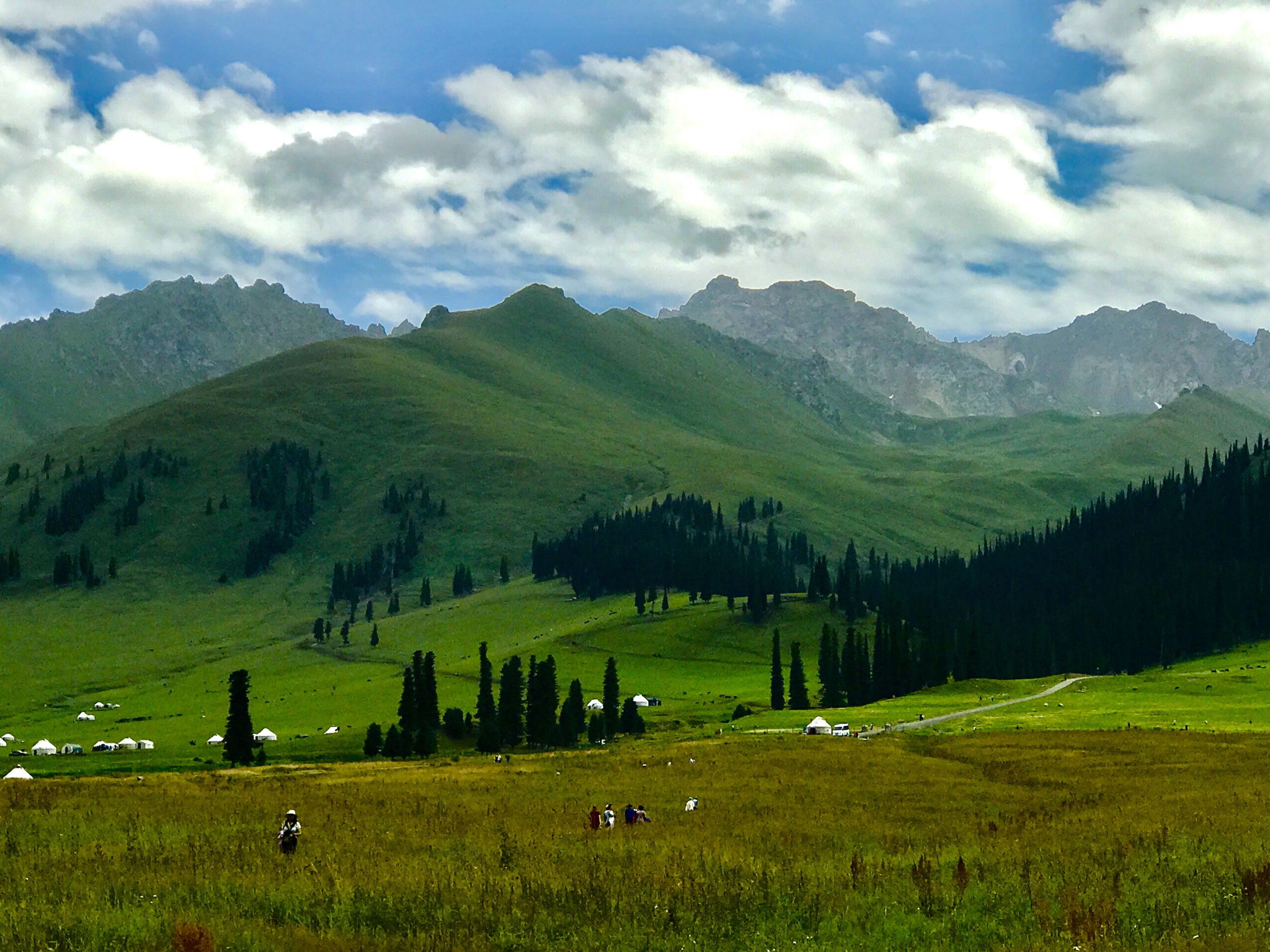 新疆伊犁那拉提空中草原.2019年手机随拍一一之21.