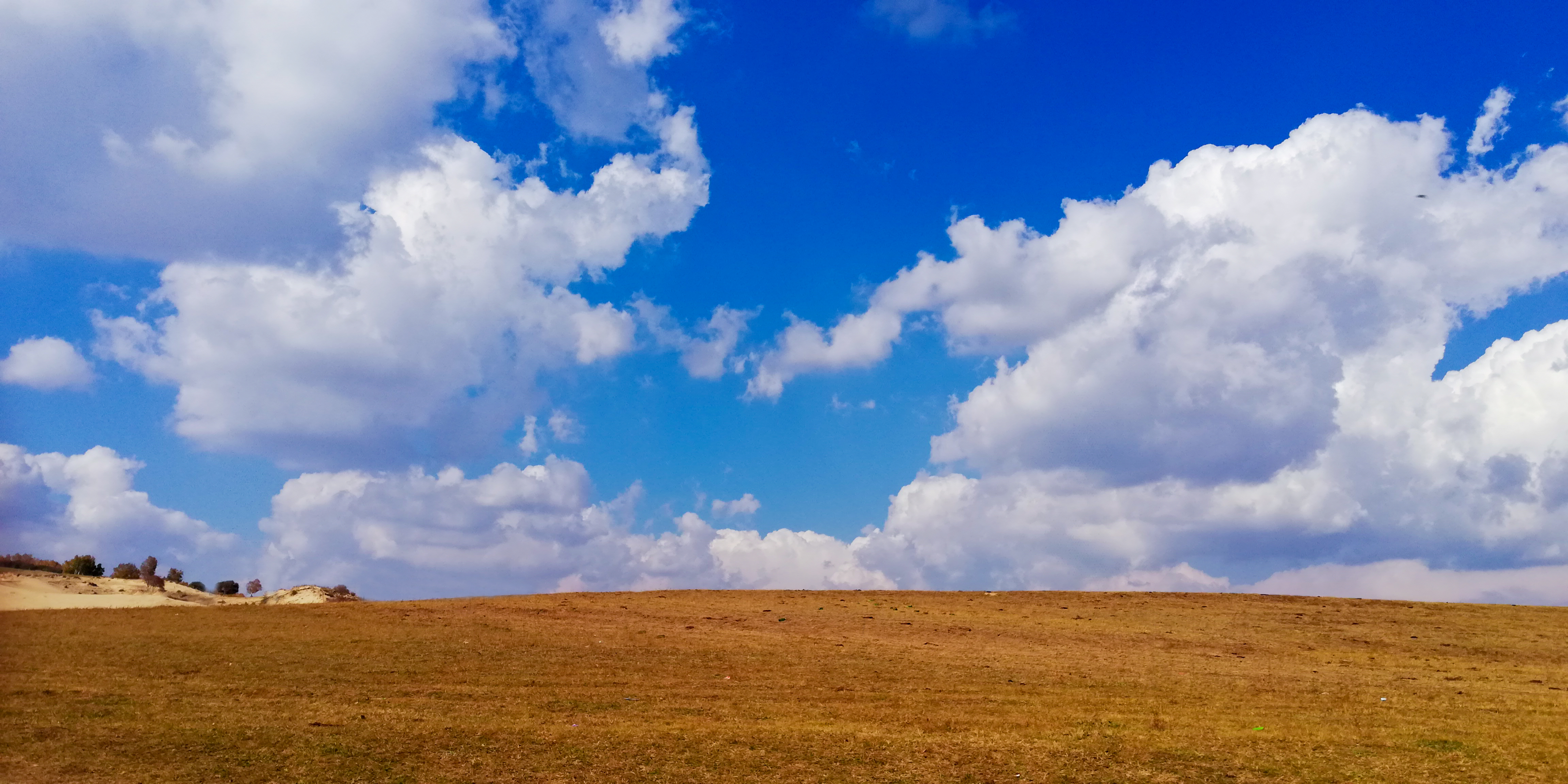 大草原,蓝天白云我的家