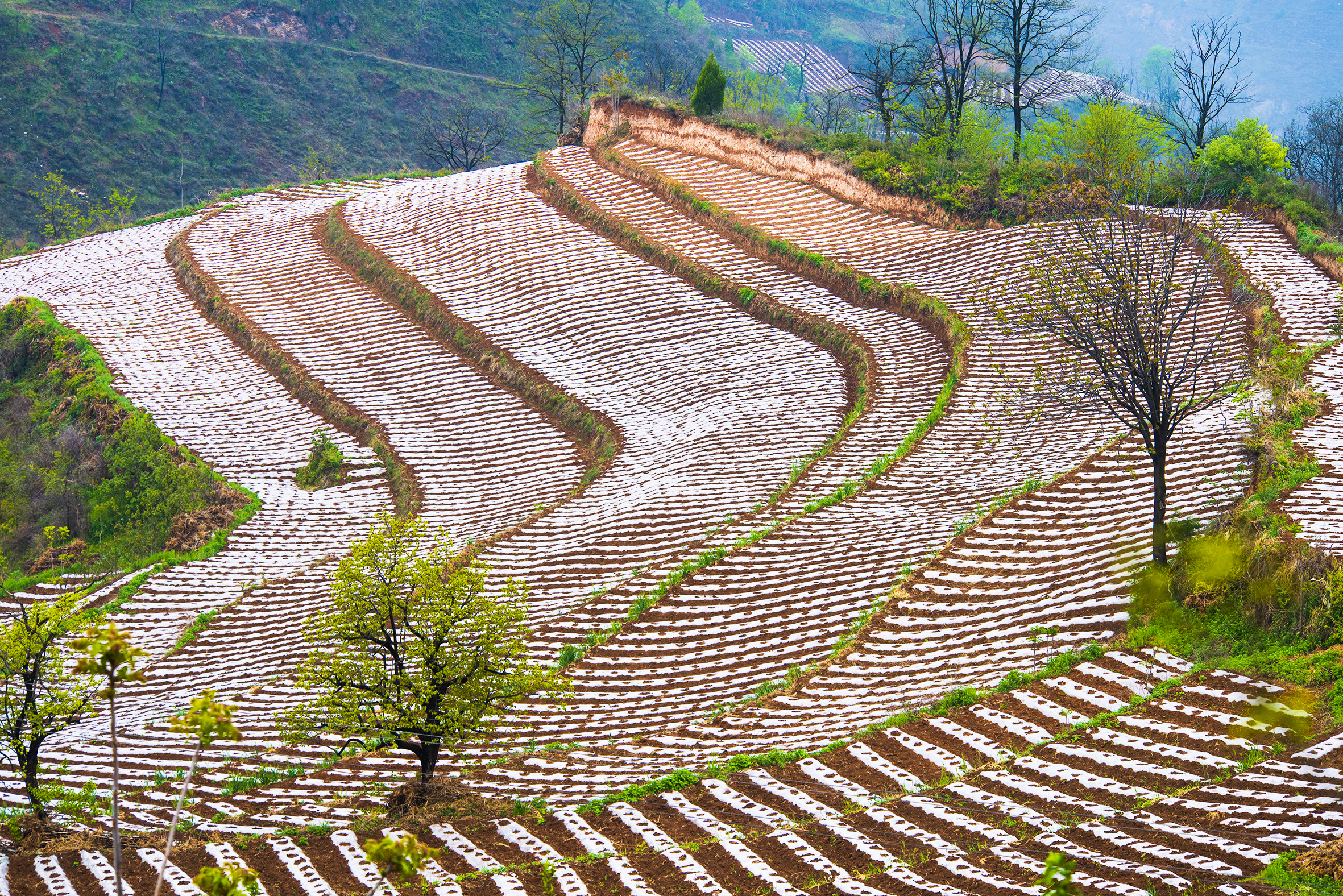 呈现在豫西大地上的"指纹"