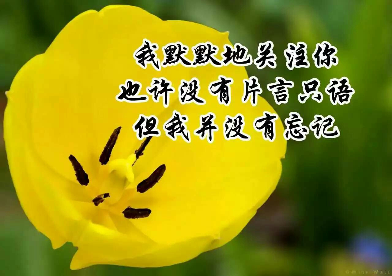 输与赢!输的是我,赢的不是你