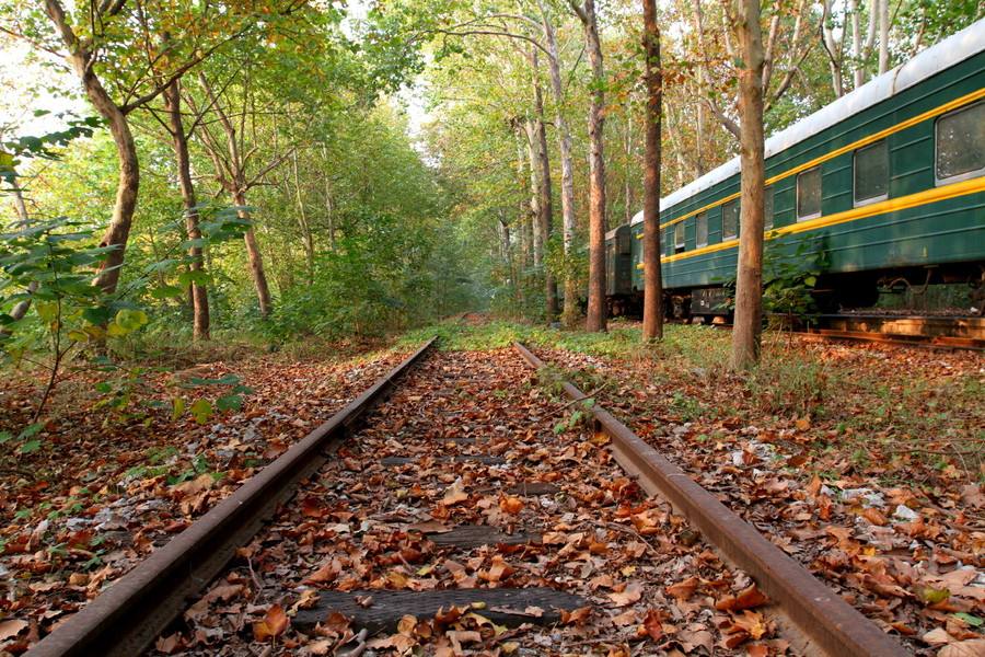 70后的回忆开往远方的绿皮火车