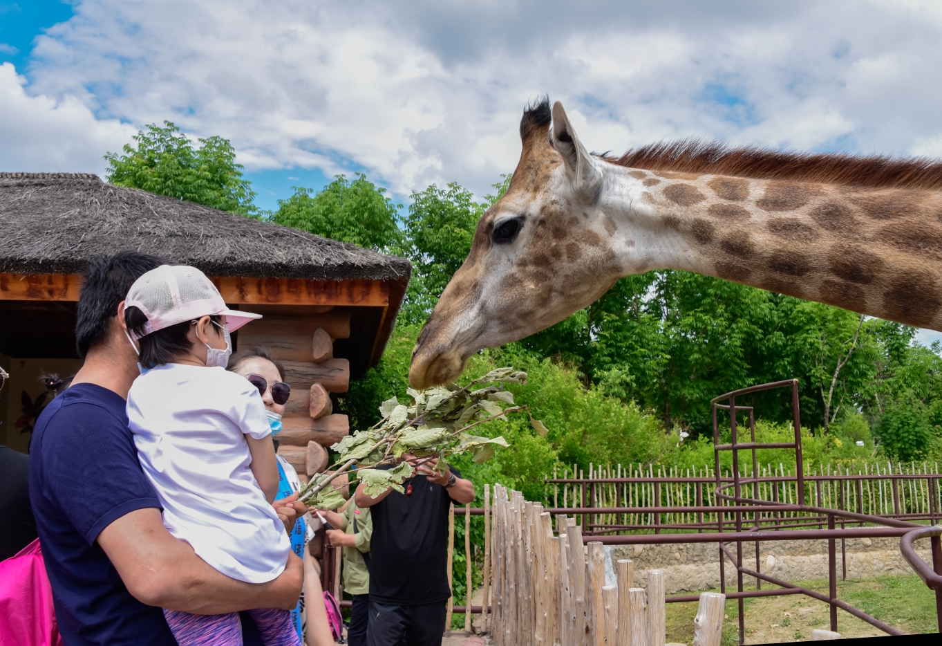 龍沙動植物園遊玩