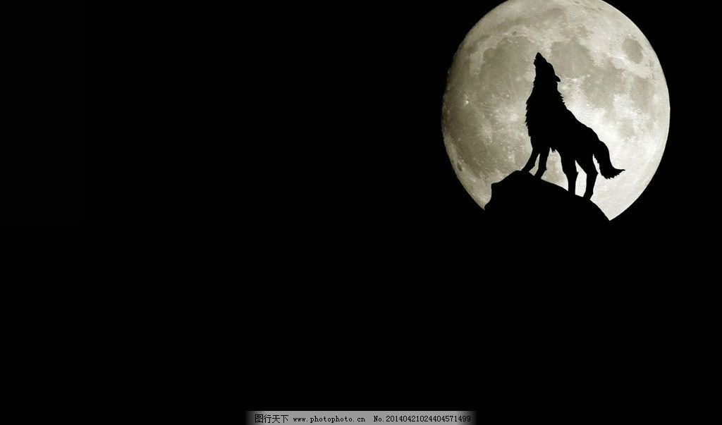 银狼啸月最霸气图片图片