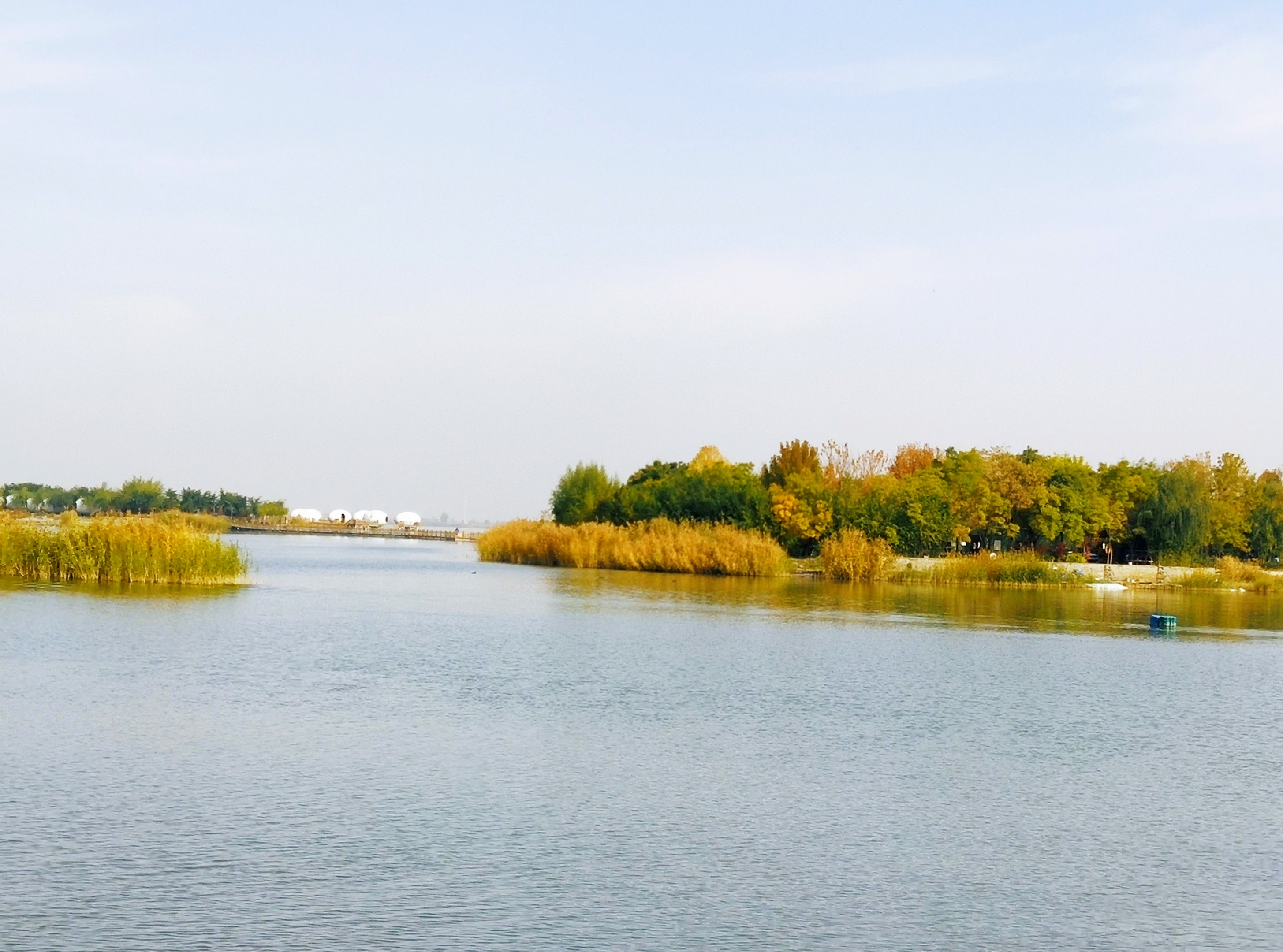 首发塞上江南醉美沙湖