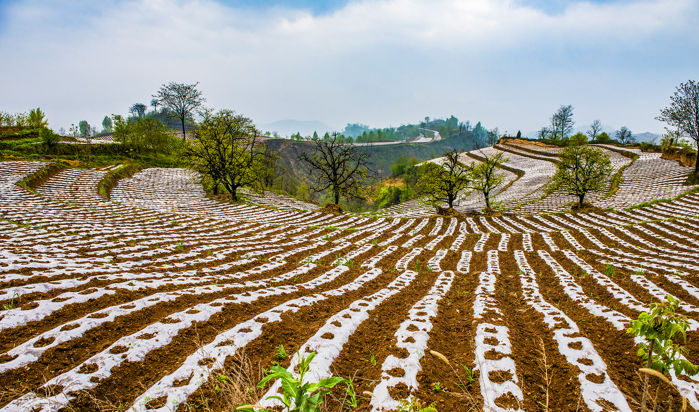 呈现在豫西大地上的"指纹"
