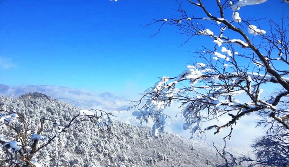 西岭雪山的雪国风光无限首发