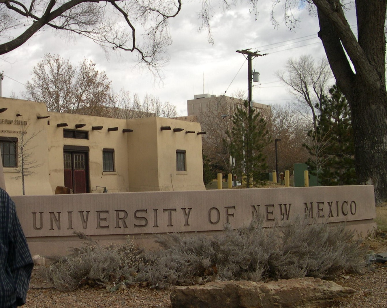 首发新墨西哥大学留影