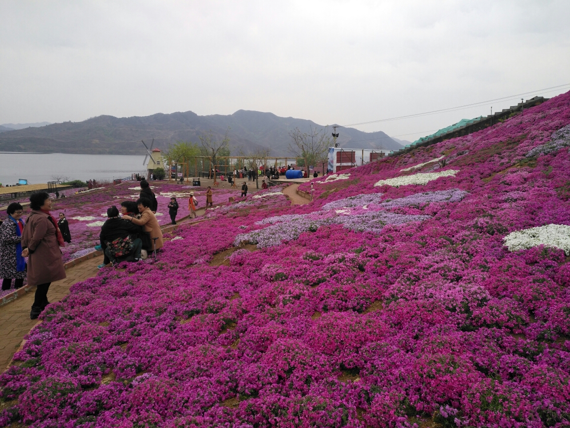 花海谷公园 简介图片