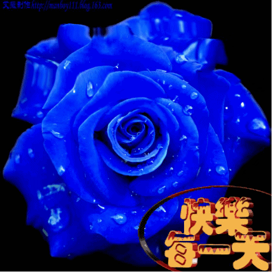 559_559gif 动态图 动图