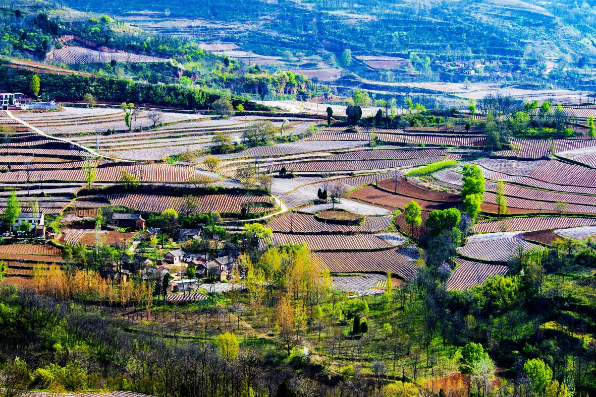 卢氏梯田美如画