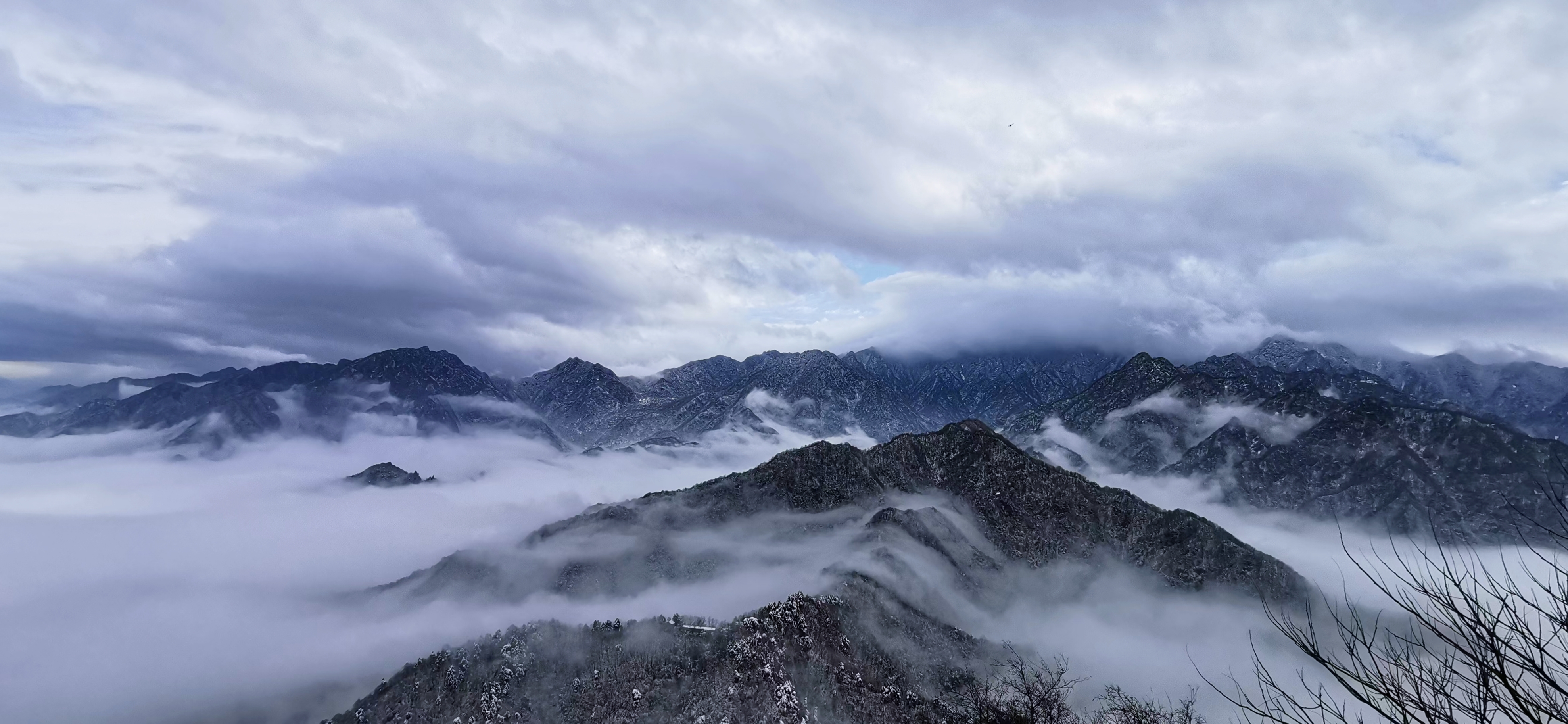 大秦岭首发