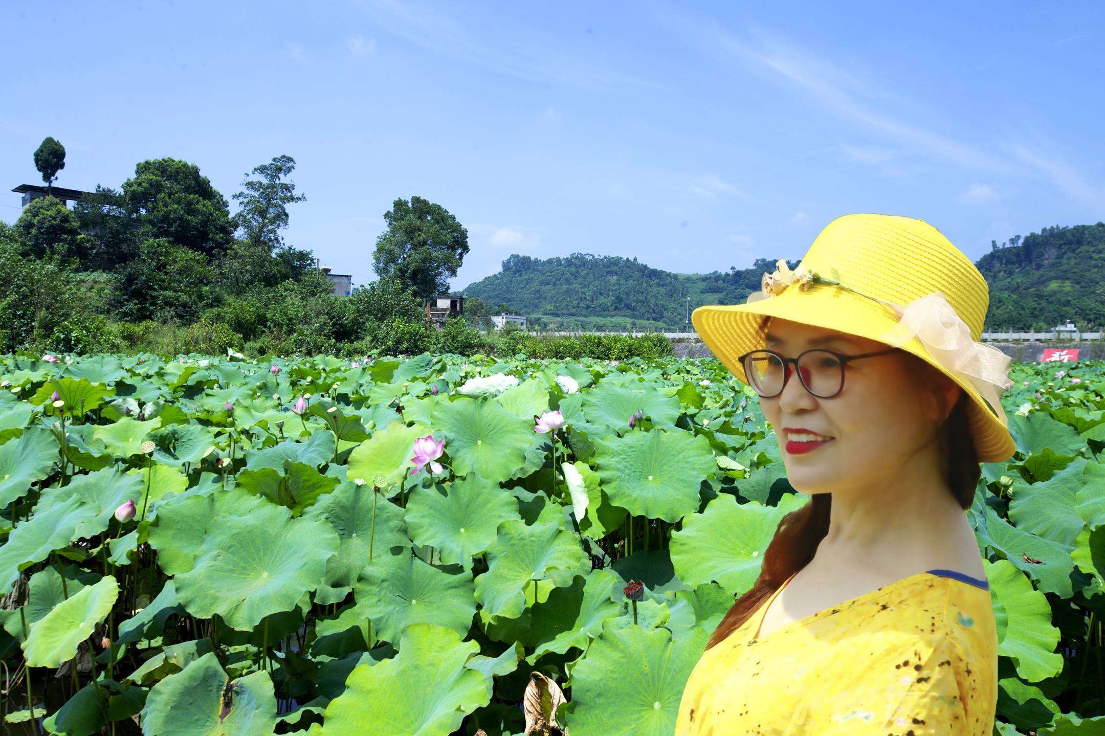 永川十里香荷中,风光不与四时同.接天莲叶无穷碧,映日荷花别样红.