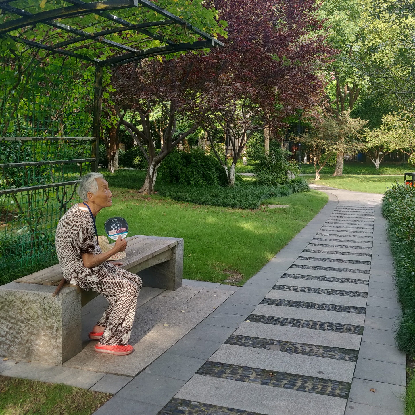 杭州大关公园一瞥