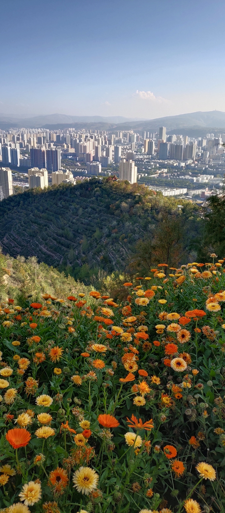 西宁北山图片