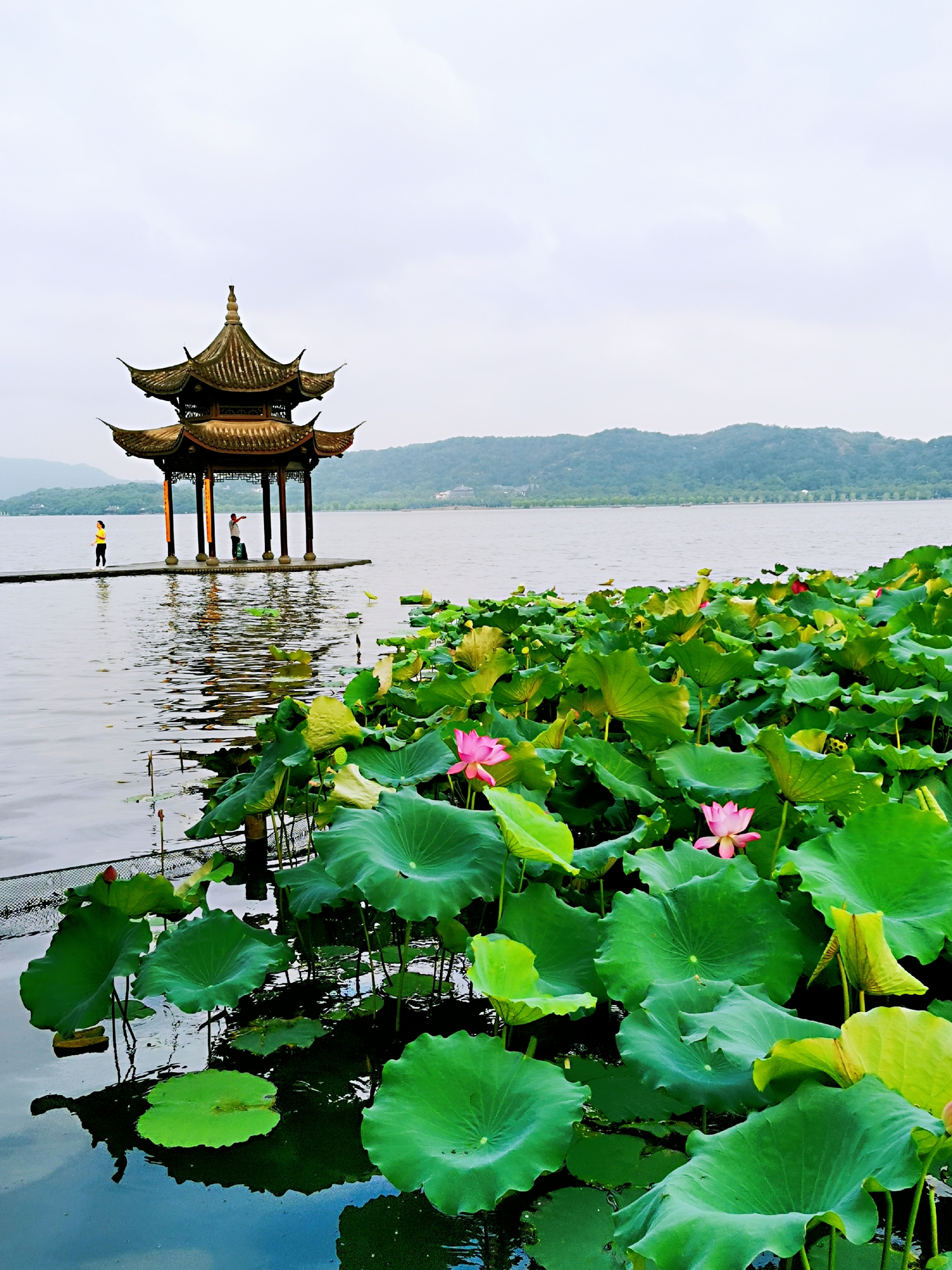 西湖秋景胜过春原创首发