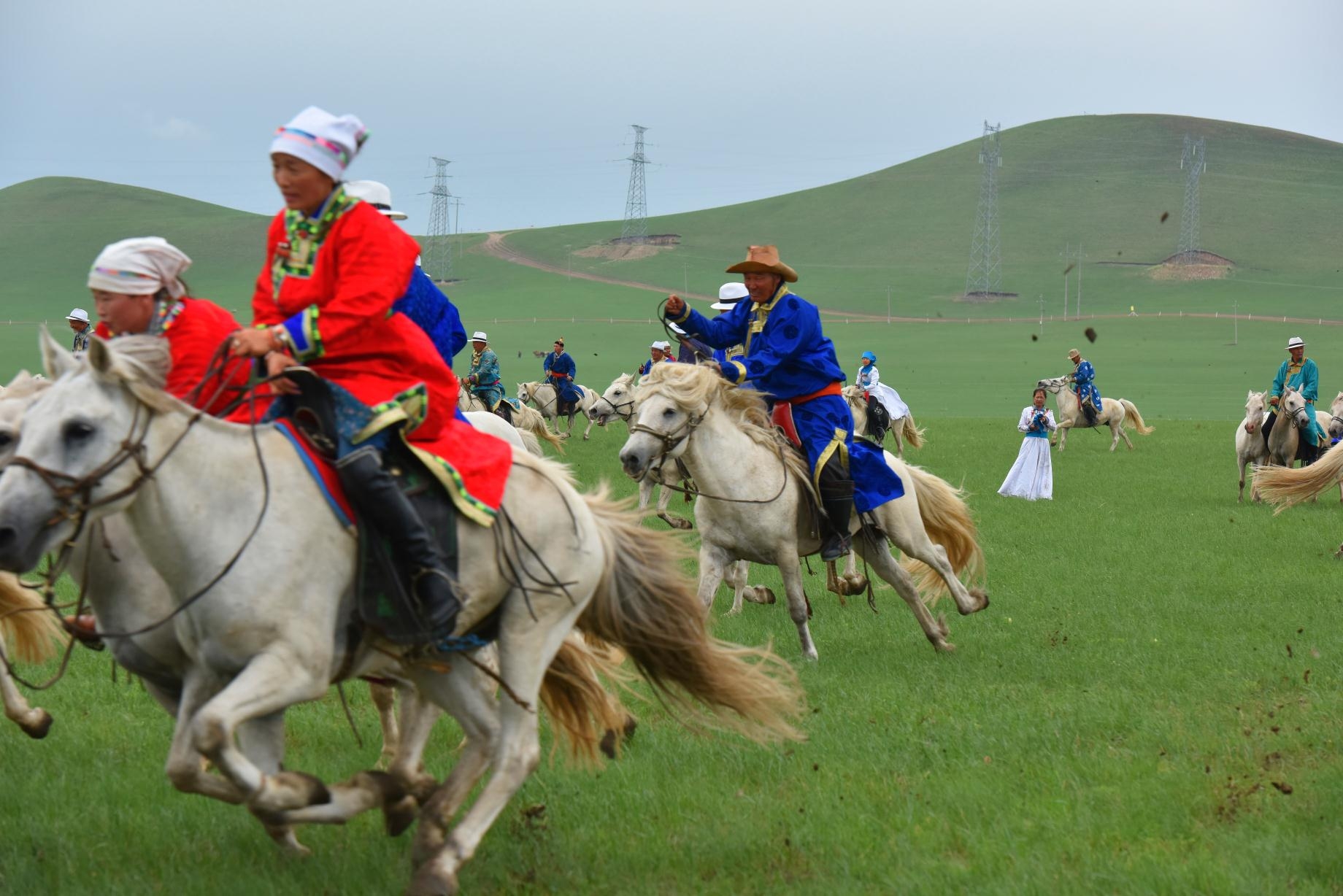草原上的那达慕与蒙古白马!