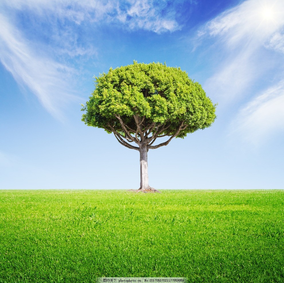 【远方之声让我成长】编织巧手讲解《树》作者:山东 孙成凤