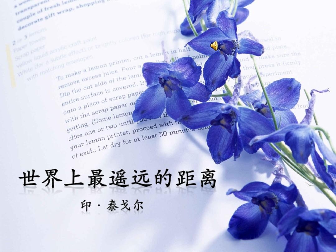 04:03                          不是