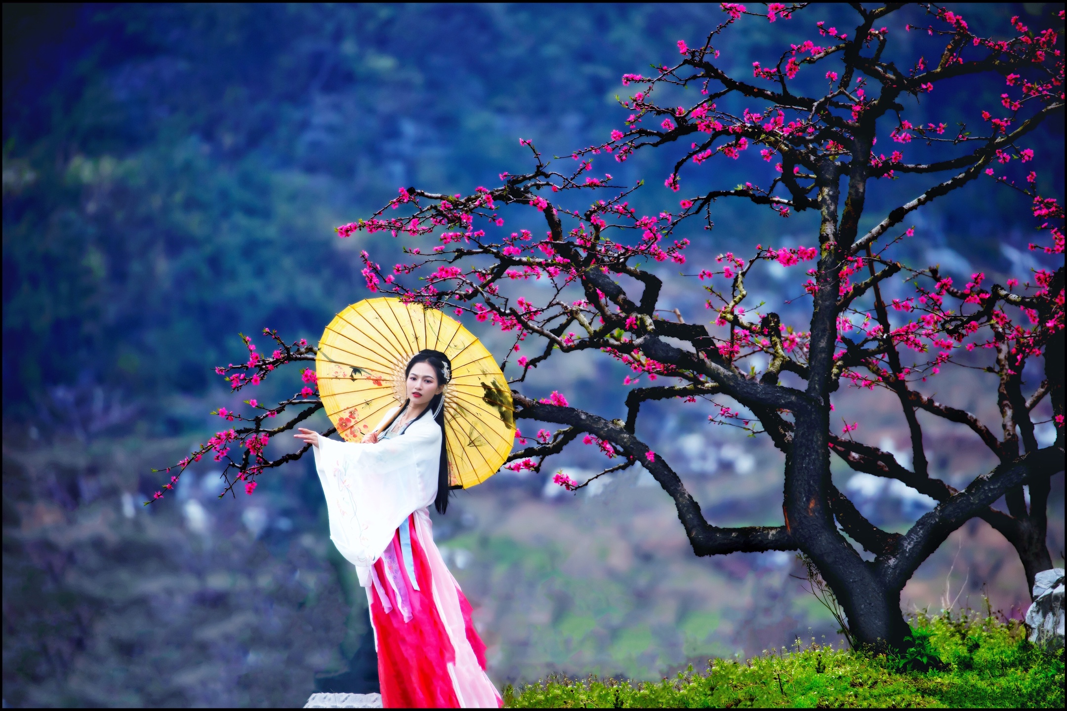 桃花,是春天里最美的风景