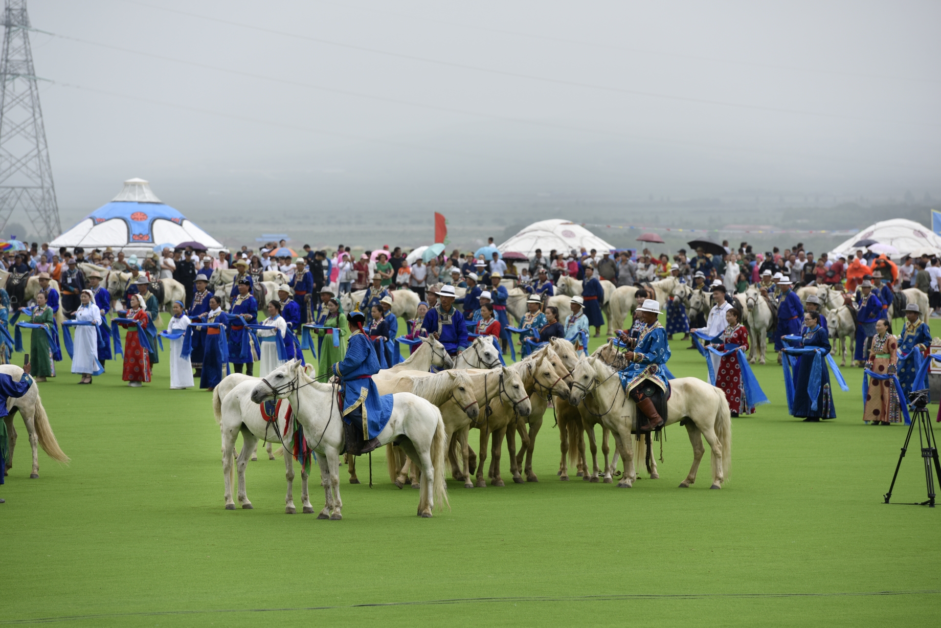 草原上的那达慕与蒙古白马!