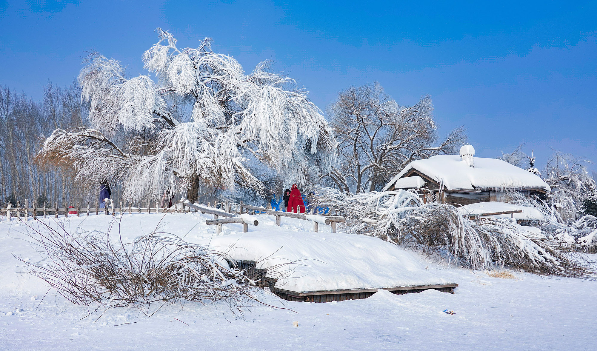 北国冰雪行摄之一:《伏尔加庄园赏雪景》