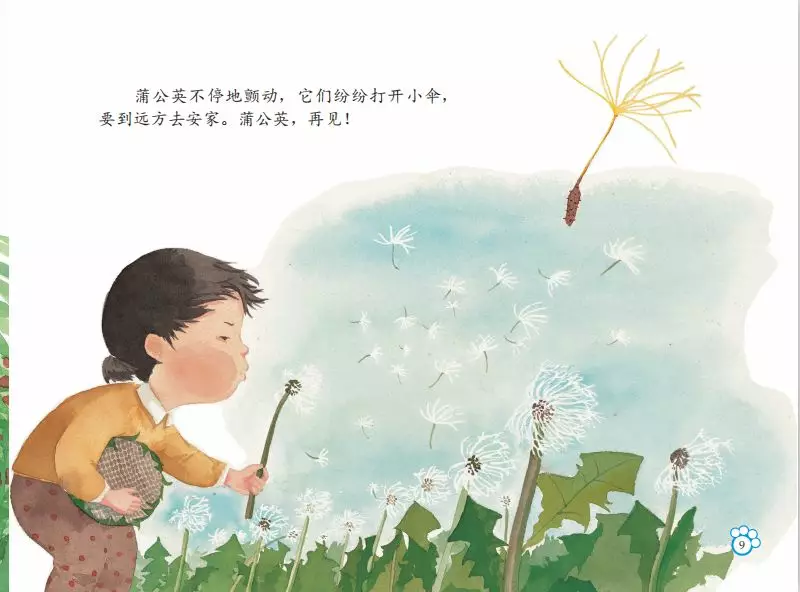 《种子去哪里》