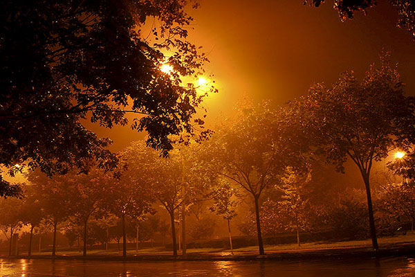 《雨夜》