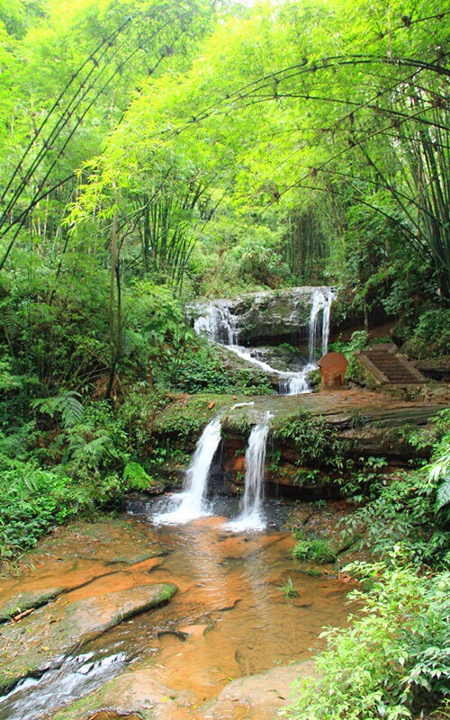 蜀南竹海之忘忧谷