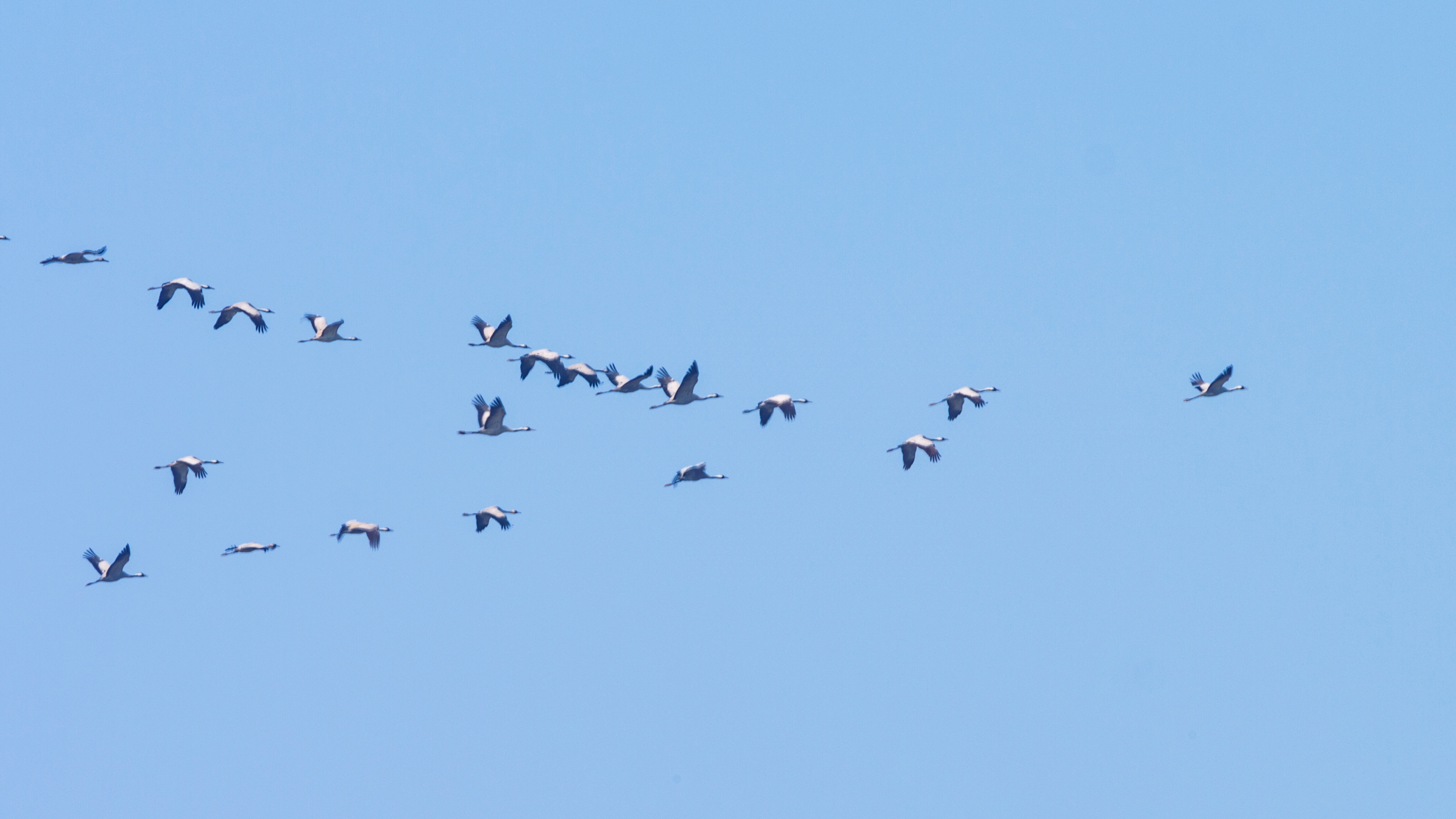 初入南矶山候鸟保护区【首发】