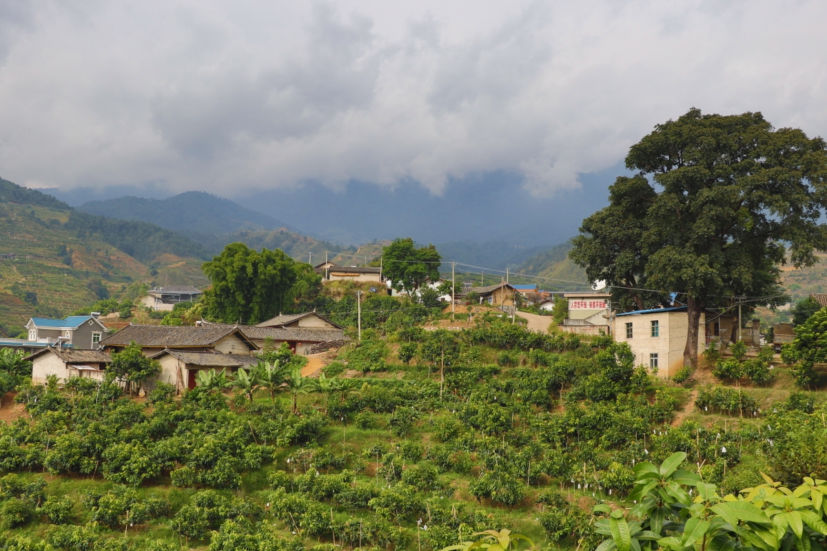 山里人家一一攀枝花市仁和乡中坝乡中坝村
