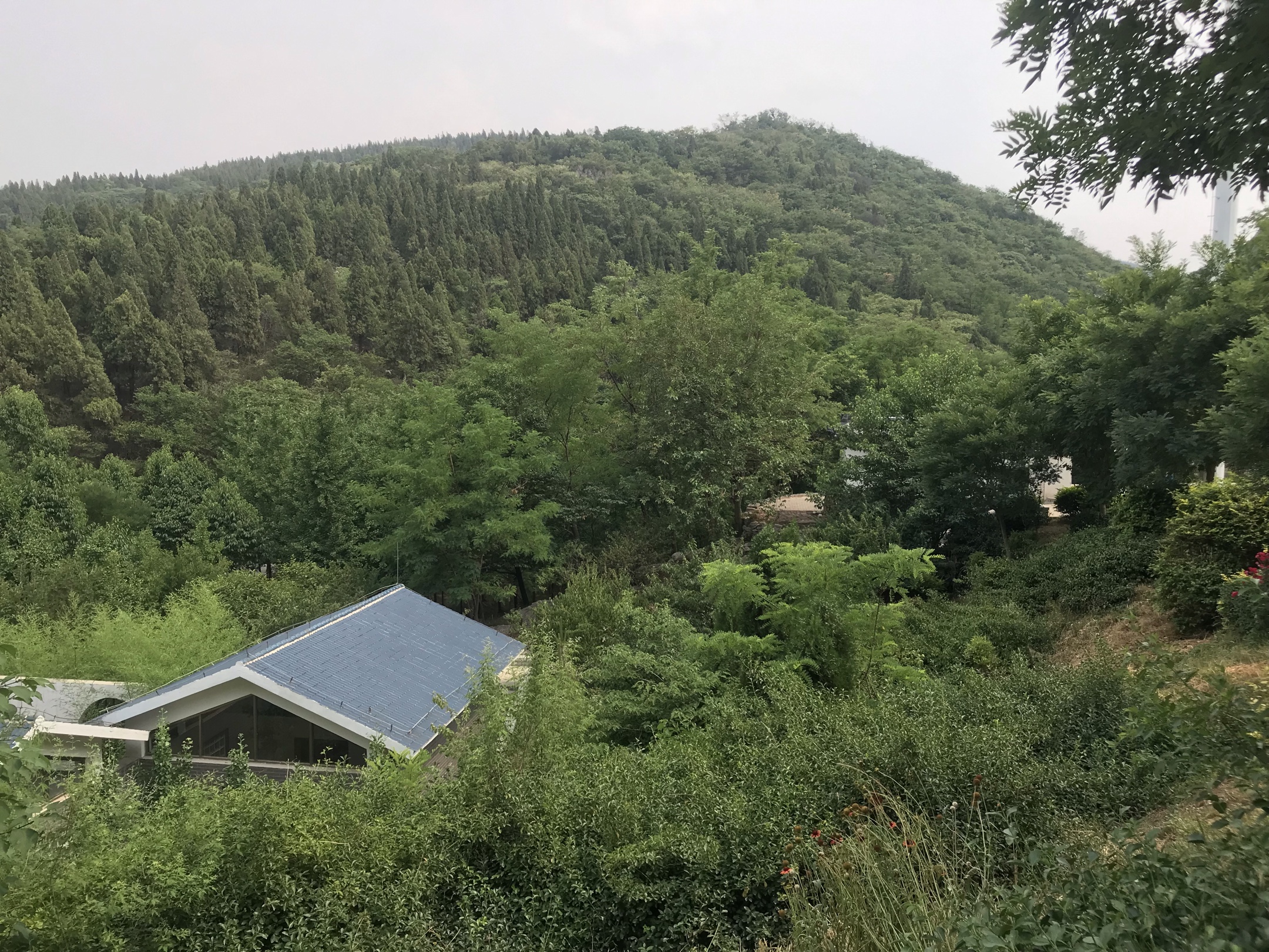 如月湖水粼光闪,犹如明珠原山嵌;山美水美景独特,不负此行来博山.