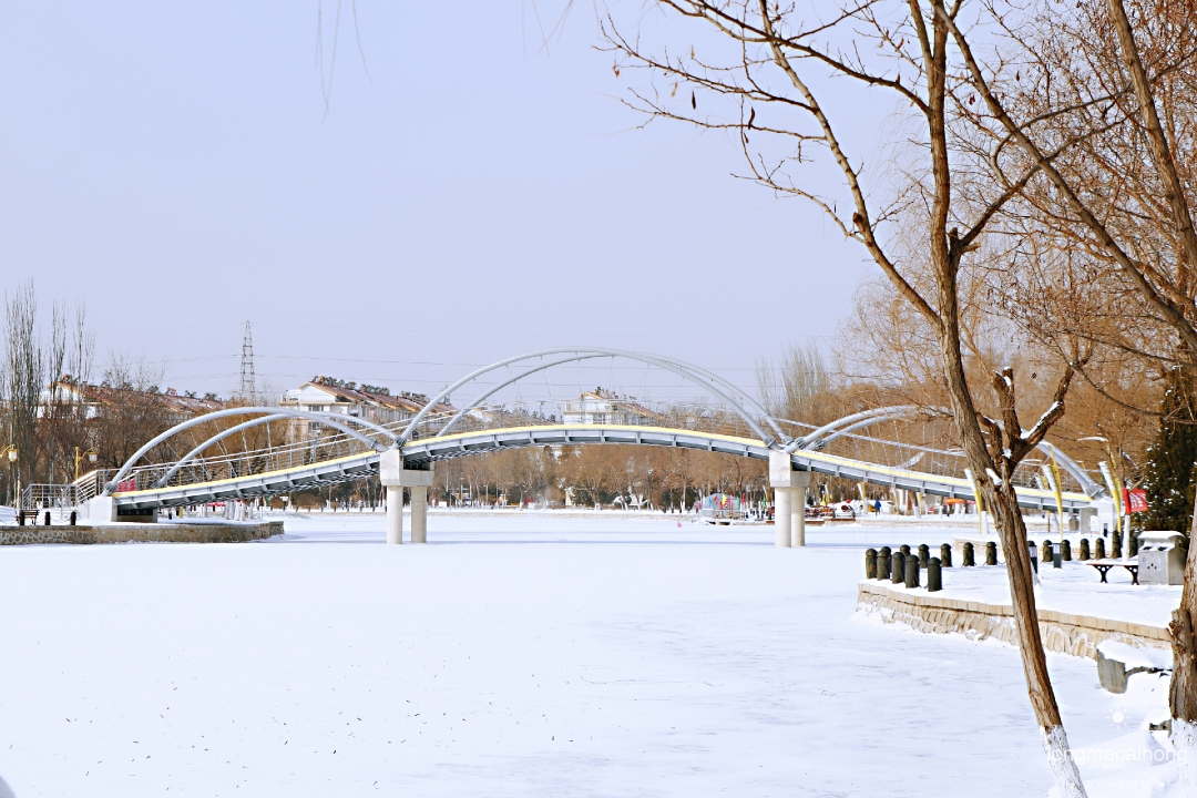 雪后的营口镜湖公园