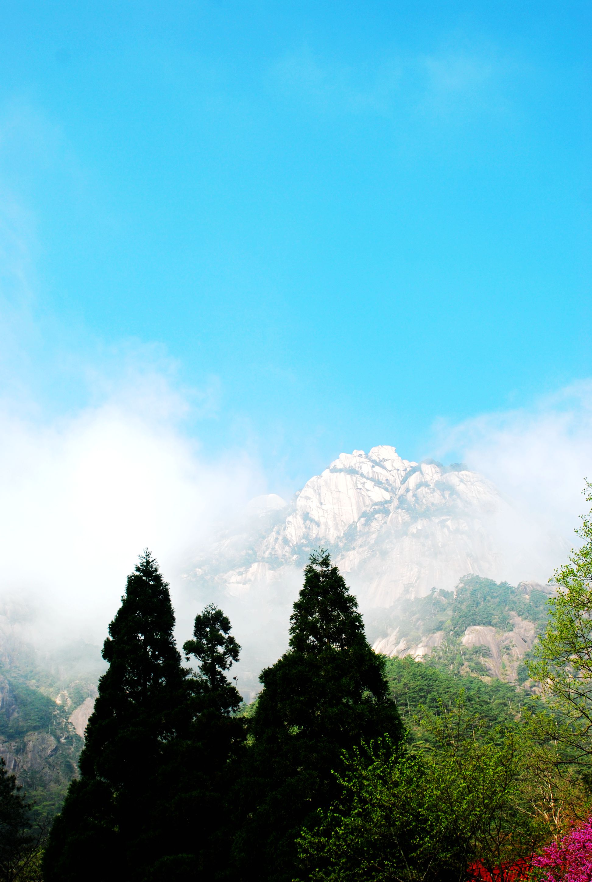 清晨一早,我們就乘纜車,從後山雲谷寺登山.