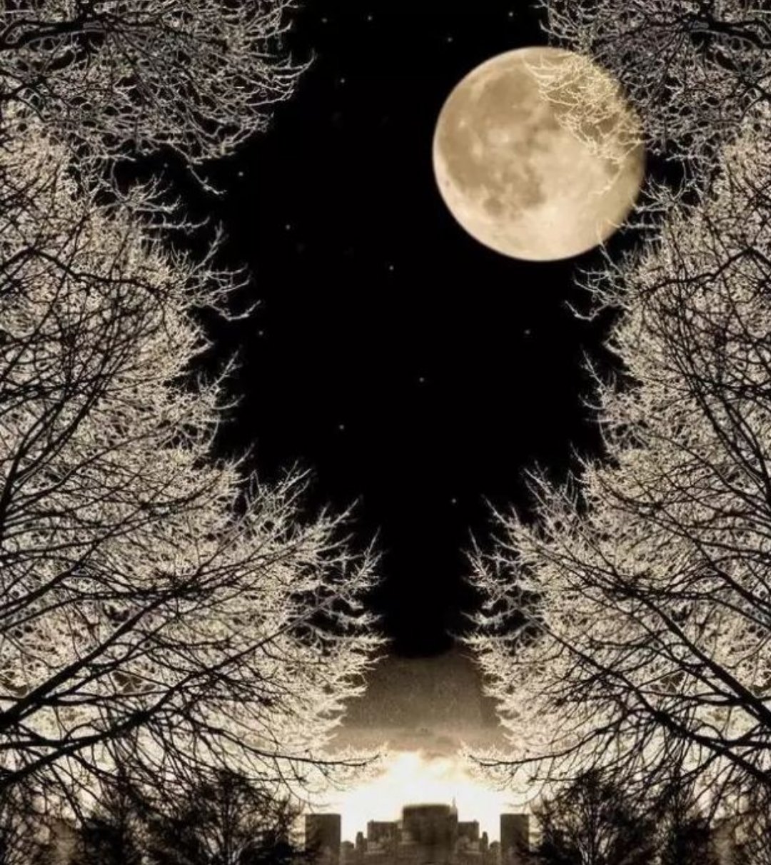 望着月亮就想起我爱你