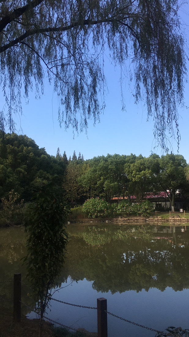 崇明瀛洲公園