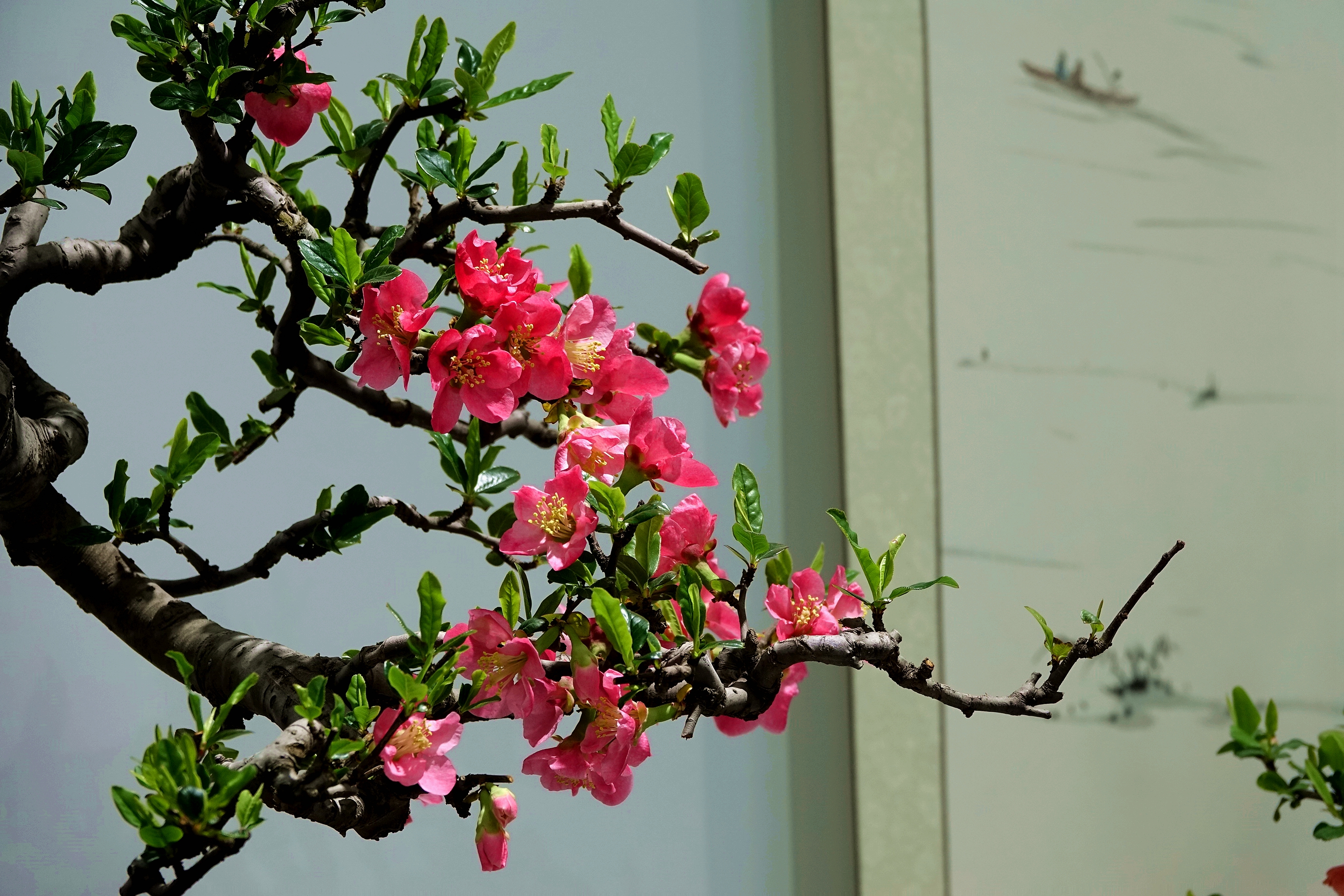 三月推开春天的门